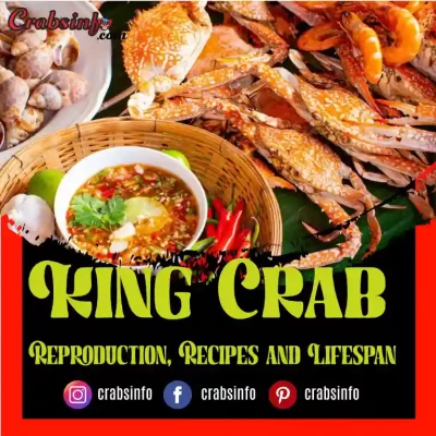 King Crabs blog and feature