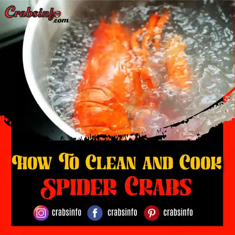 How To Clean and Cook Spider Crabs