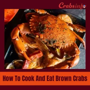 How to cook and eat brown crabs?