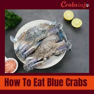 How to eat blue crab
