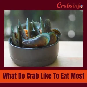 What do crabs like to eat most?