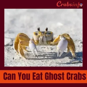 Can you eat ghost crabs