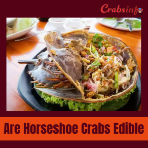 Are horseshoe crabs edible?
