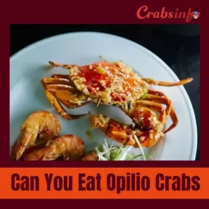 Can you eat opilio crabs