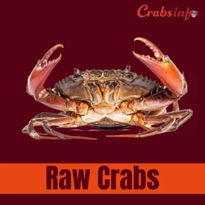 Can You Eat Raw Crabs?