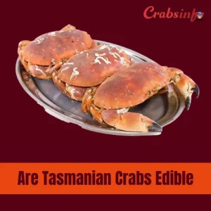 Are tasmanian crabs edible