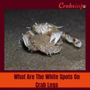 What Are The White Spots On Crab Legs
